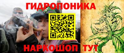 спайс Малгобек