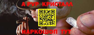спайс Малгобек