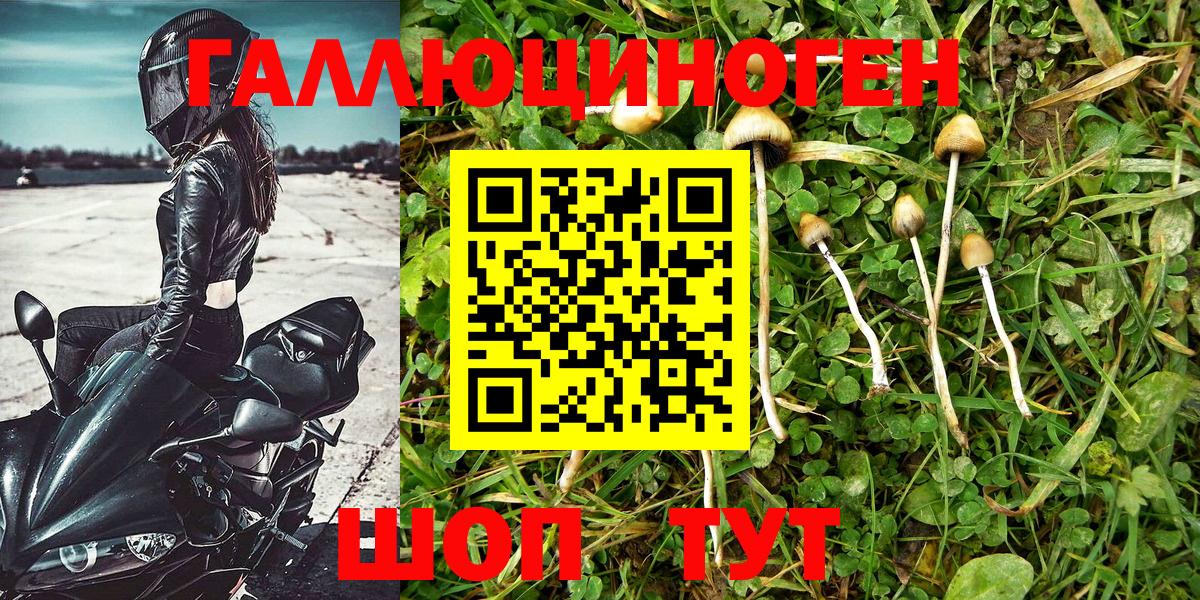 Великие Луки  Псилоцибиновые грибы мухоморы  Галлюциногенные грибы мицелий  Вход с VPN 